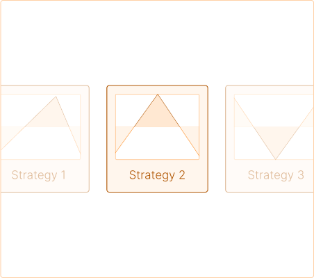 Selected Strategy